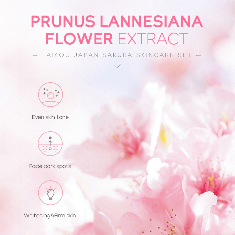Sakura Glass Skin Ritual — Complete 5-Piece Collection